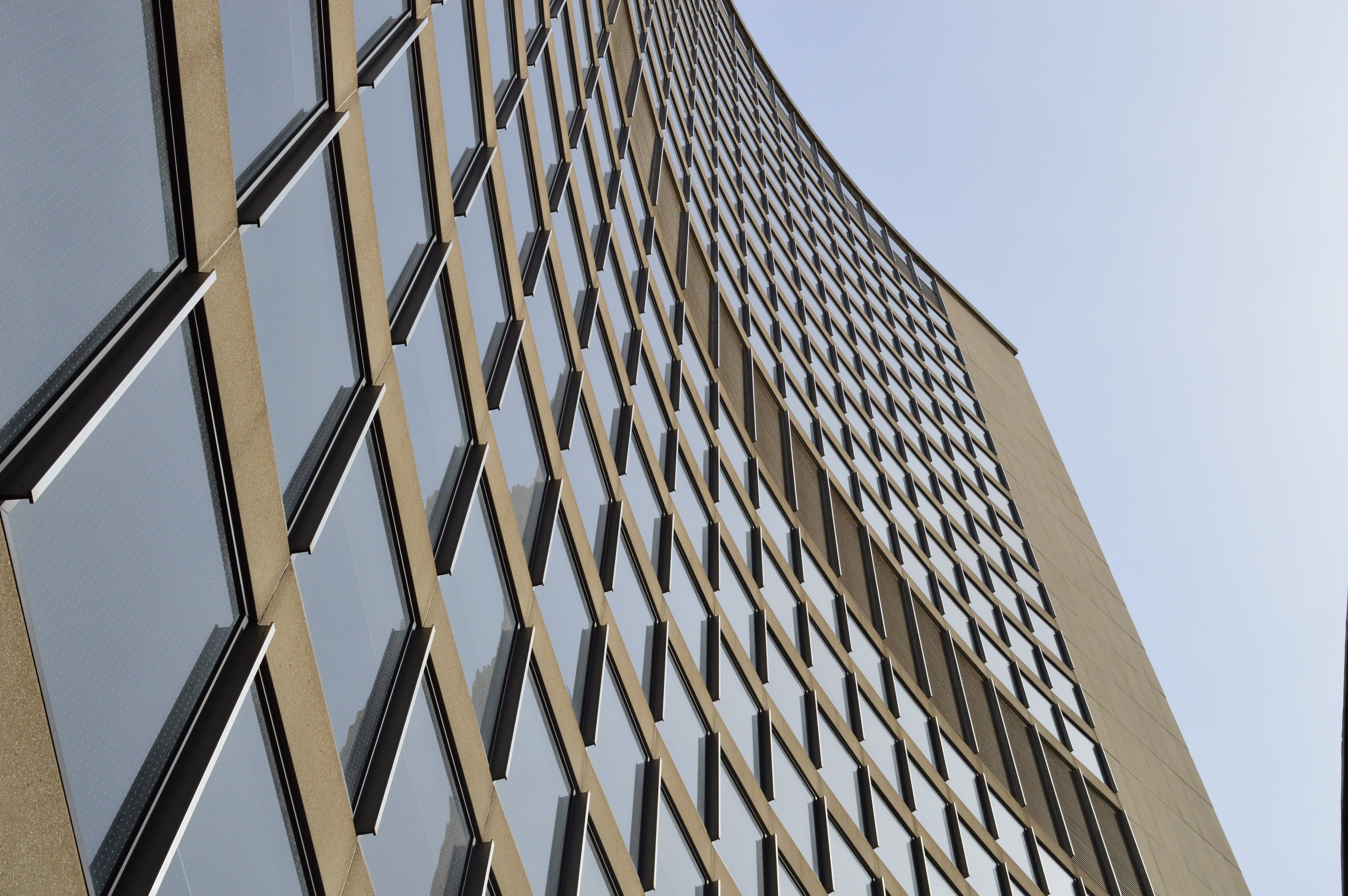 The Strategic Foundation: Expert Consulting for Scaling